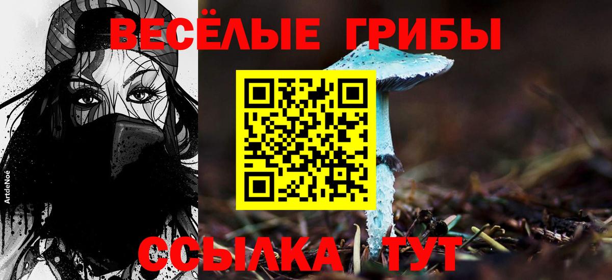 Кузнецк  Псилоцибиновые грибы ЛСД  Вход с VPN 